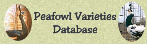 The Peafowl Varieties Database